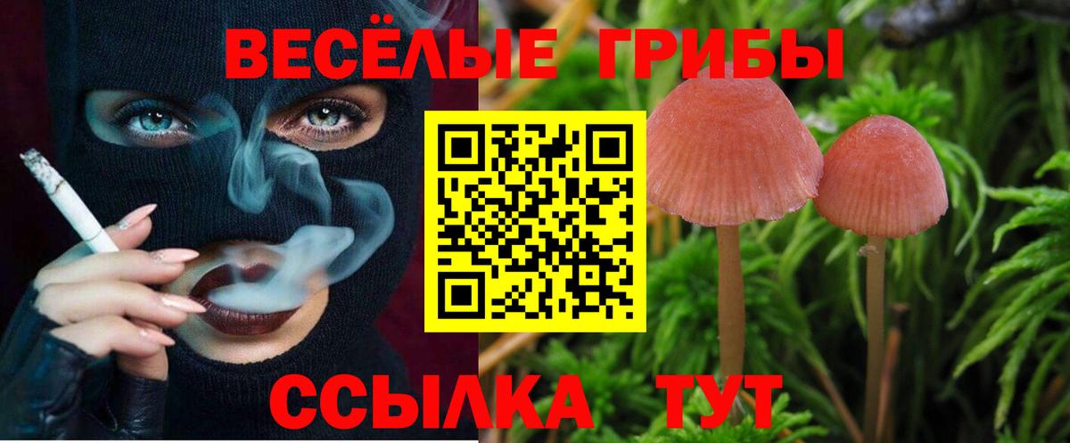 Псилоцибиновые грибы мицелий Можайск