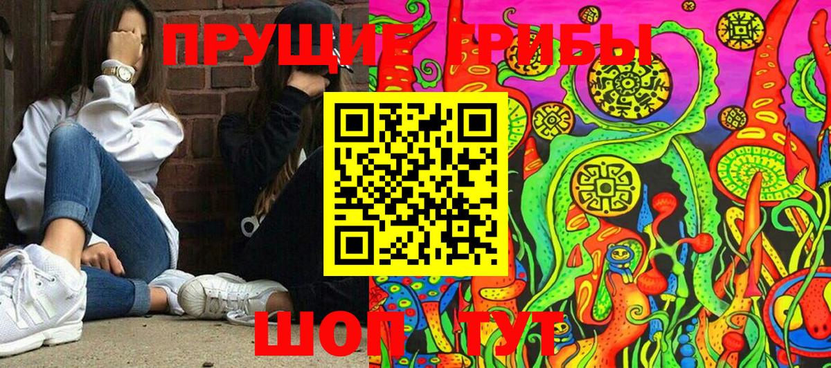 Можайск  Галлюциногенные грибы мухоморы  Псилоцибиновые грибы прущие грибы  Вход с VPN 